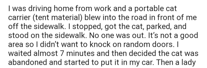 OP stumbled upon a lonely cat in a cat carrier and decided to take the kitty after no one stepped up to claim it