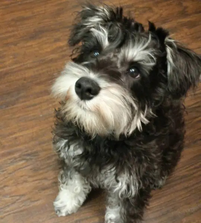 13. Mirror mirror, who’s the cutest of them all?