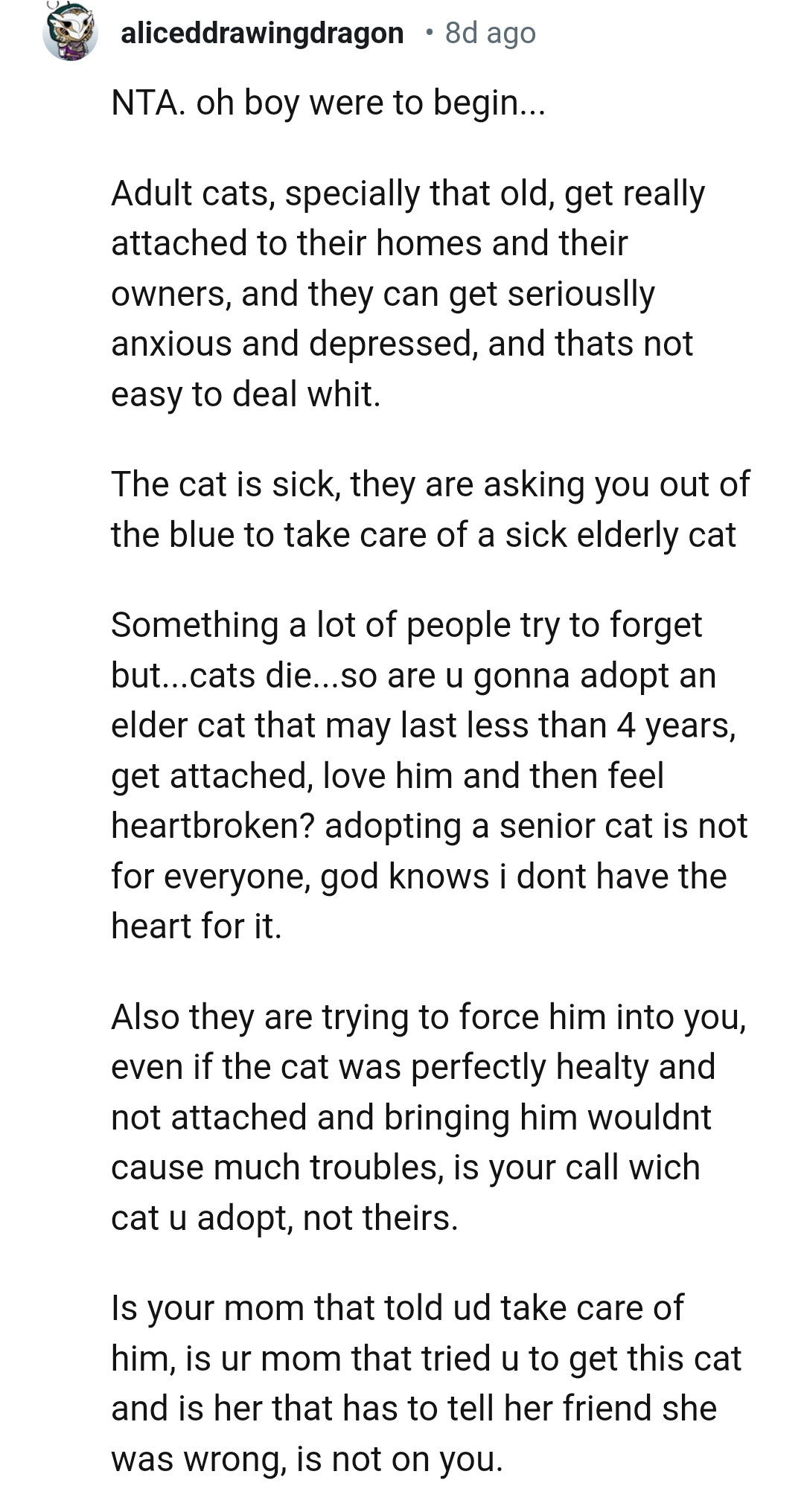 Adopting an elderly cat
