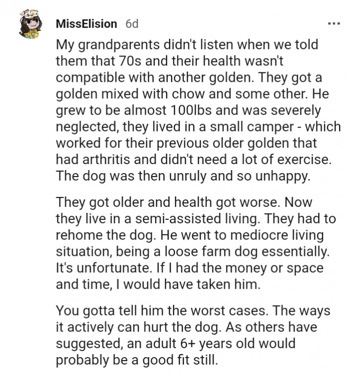 11. The dog was unruly and so unhappy