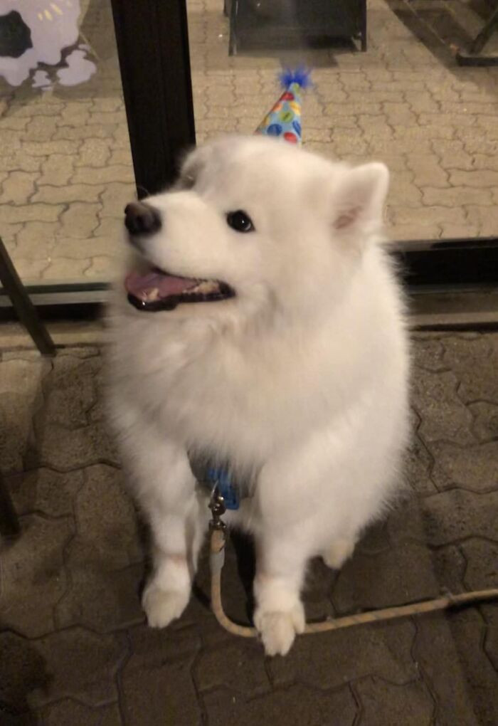 42. I Met A Cloud At Karaoke Tonight! Happy 4th Birthday Arrow!