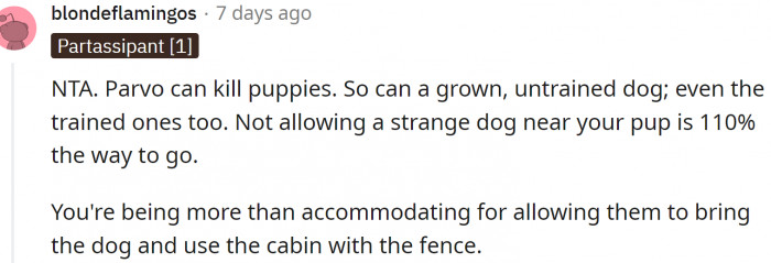 Parvo is really dangerous