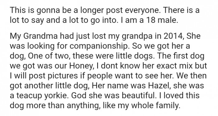 The OP's Grandma had just lost his grandpa in 2014, so she was looking for companionship