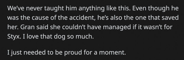 OP's grandma said she wouldn't have managed to move far if it weren't for the dog