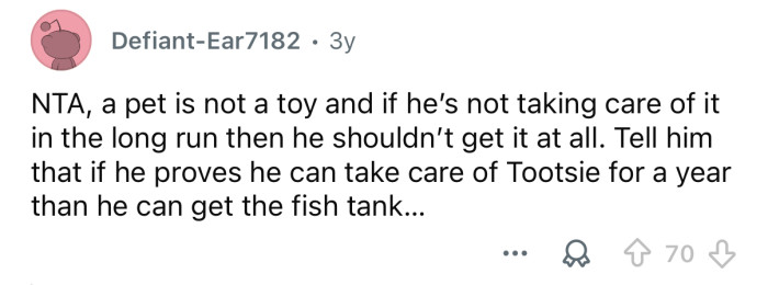 “A pet is not a toy.”