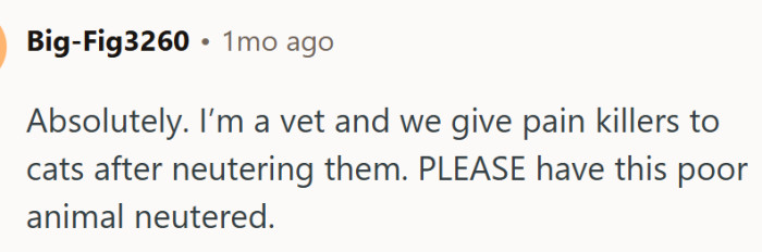 A vet says: