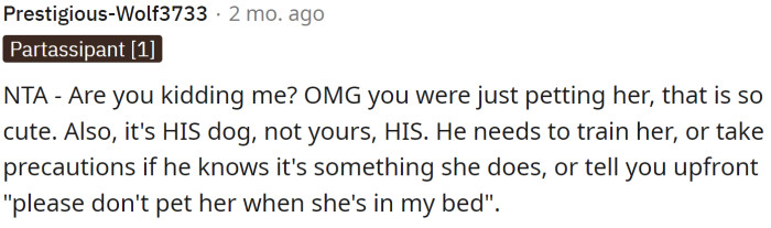 The owner needs to train the dog and warn people who are taking care of it about possible issues.