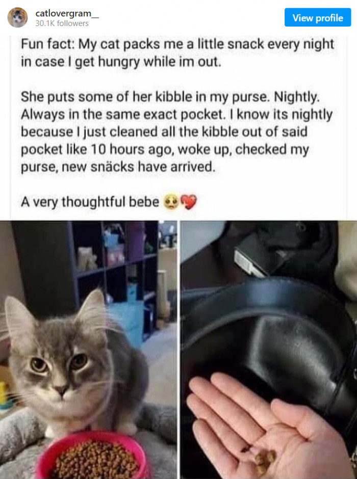 21. Cats care too! They want to take care of their hoomans!