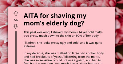 Redditor Sparks Family Outrage For Giving Dog ‘Extreme Makeover’ That Left It Looking Like Plucked Chicken