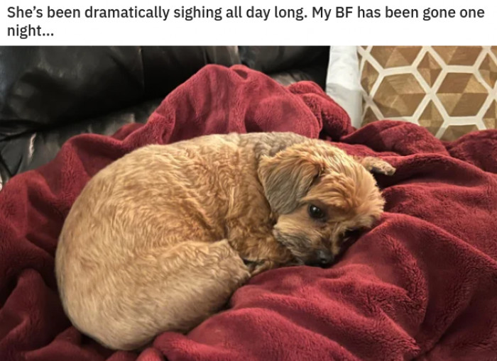 6. Poor, lonesome bebe