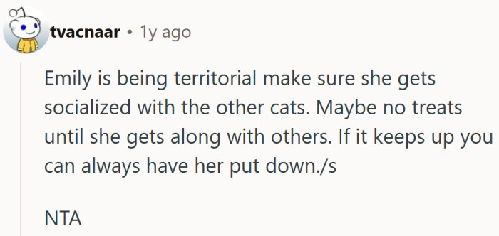 Sometimes humor says what everyone’s thinking, just with sharper claws.