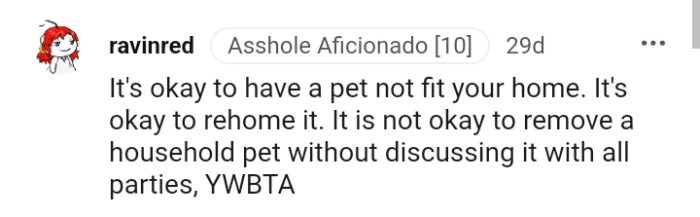 The OP should discuss it with her partner before getting rid of the cat