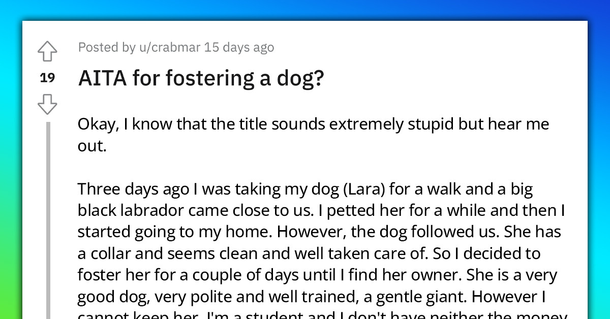 Woman Wants To Help A Lost Dog Find Her Owner But Ends Up Being Criticized For Fostering Her