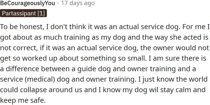 Service dog owner says: "I just know the world could collapse around us, and I know my dog would stay calm and keep me safe."