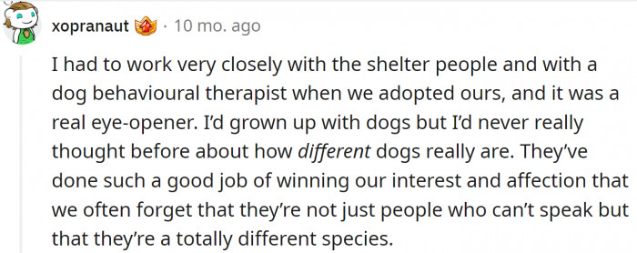 Every dog is different.