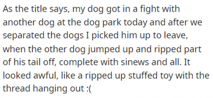 OP's poor dog got terribly injured after a fight with another dog, and I recommend not trying to visualize the description he provided.