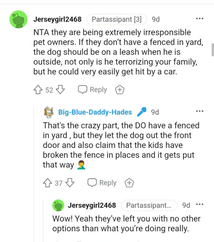 The Dog Should Be on a Leash When It's Outside