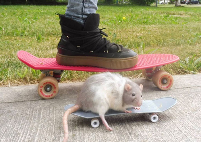 10. Yes! My human and I are hanging out