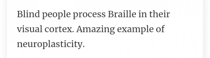 24. An amazing example of neuroplasticity