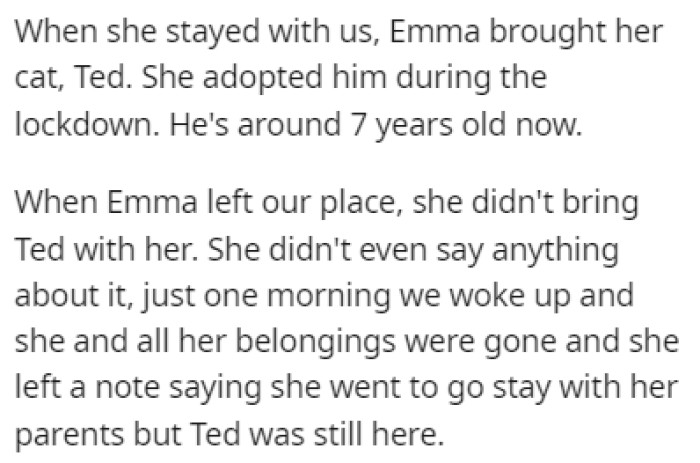 Emma Brought Her Cat Ted with Her, but She Left Him Behind When She Decided to Move Out Without Telling Anyone