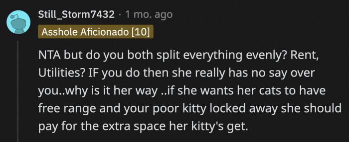 They Live in One Apartment, and If They Split Their Bills Evenly and Aren't Deliberately Terrible to Each Other, Neither Should Really Dictate What the Other Does.