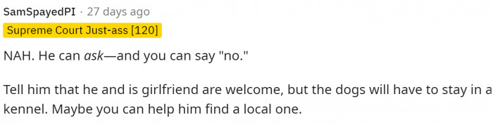 Someone else suggested having the dog stay in a kennel nearby.