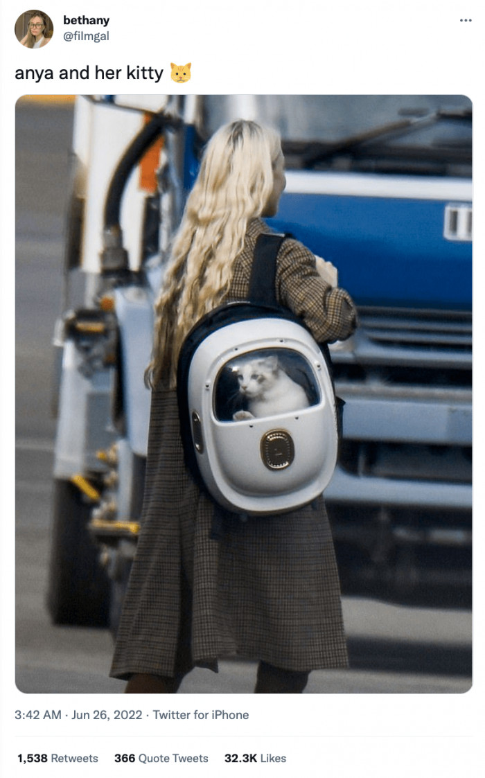 3. Exploring the outdoors with the hooman.