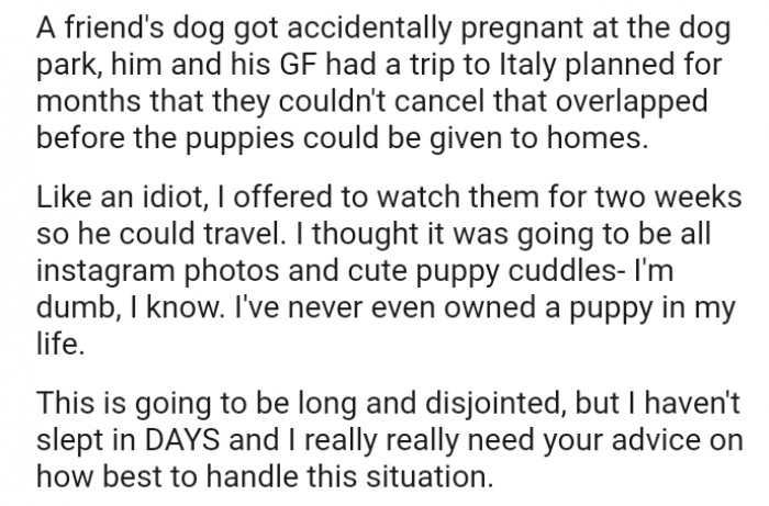 I offered to watch over a liter of puppies