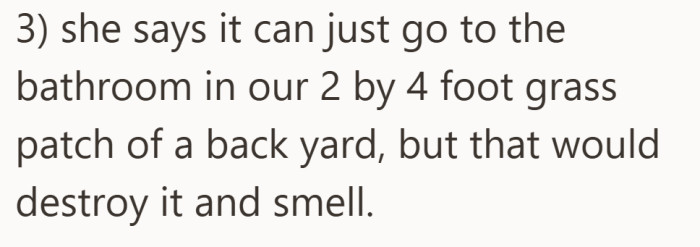 The practical details that make the plan sound much less workable in real life.