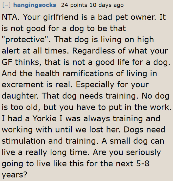 The dog isn't living a good life with its current owner.