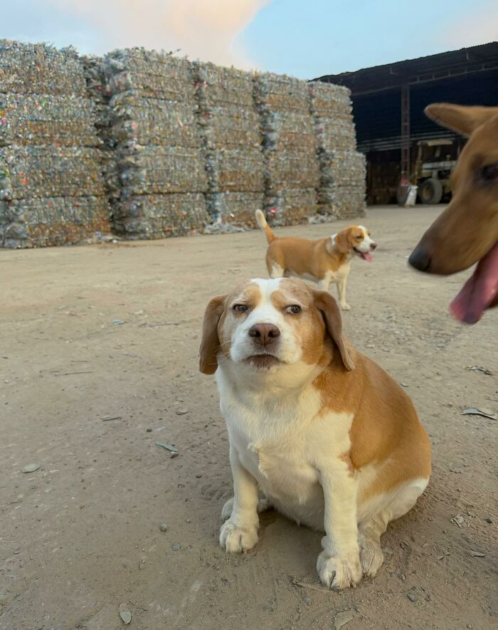 49. “The face of someone who did not sign up for this field trip.”