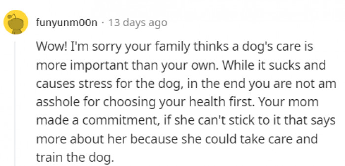 Your own health, or your dog's?