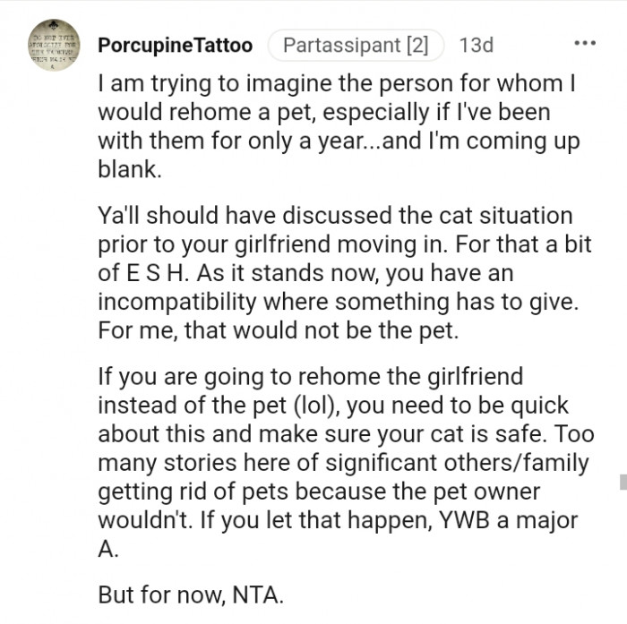 Y'all should have discussed the cat situation beforehand