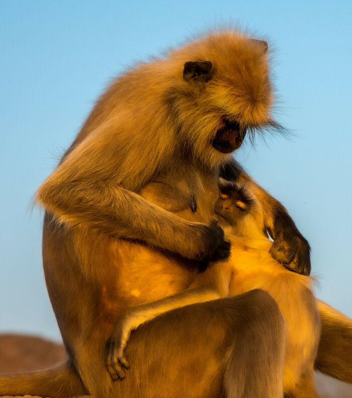 “A Mother's Love” By @woetgallery