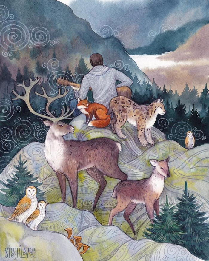 It's all about the adventures through fantasy forests and friendships with the animals that inhabit them