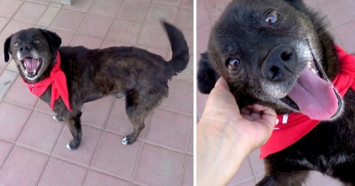 The workers couldn’t help but notice his endearing habit to never eat his treats right away