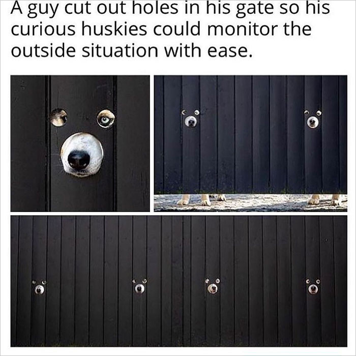 10. Monitoring the outside situation with ease