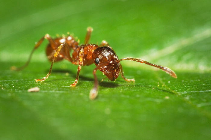 24. Take a photo of me and make me a portrait