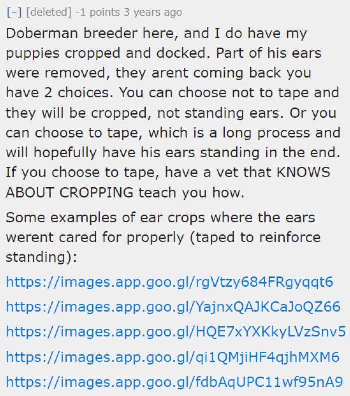 Some advice from a Doberman breeder