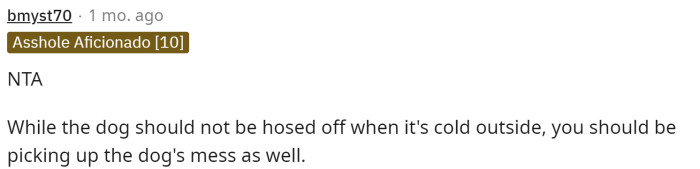 Someone else is telling her to also take responsibility for the dog, but that she's still NTA.