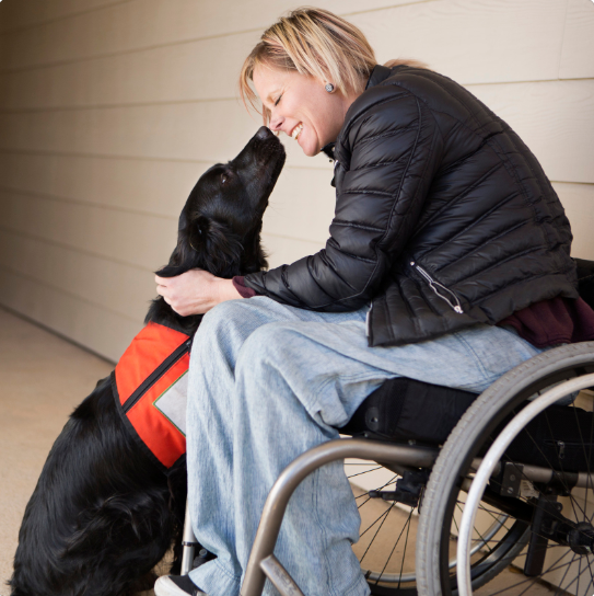 Dogs are able to hold for long periods. Service dogs are especially trained when to relieve themselves.