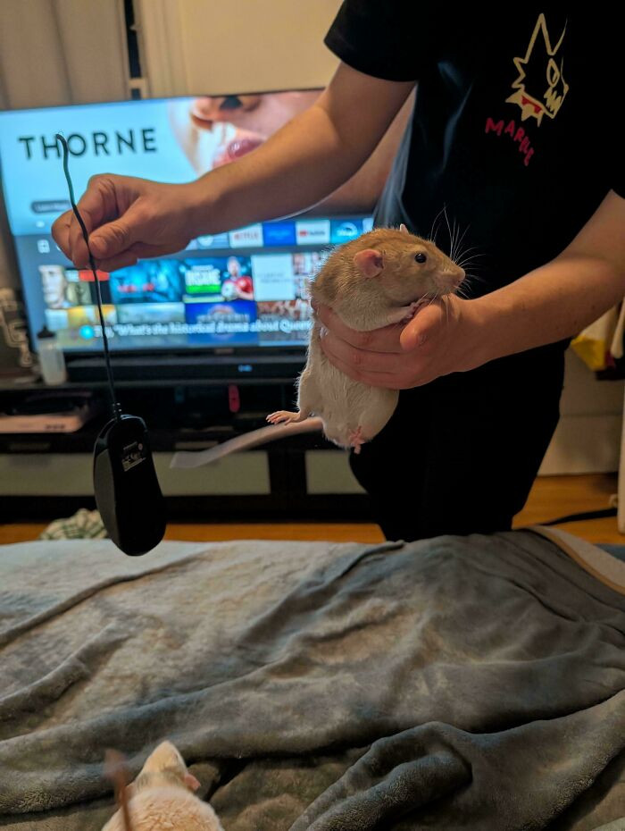 "Apparently He's Racist Against Mice"