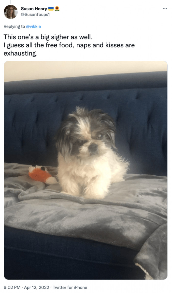 18. A big sigh right here