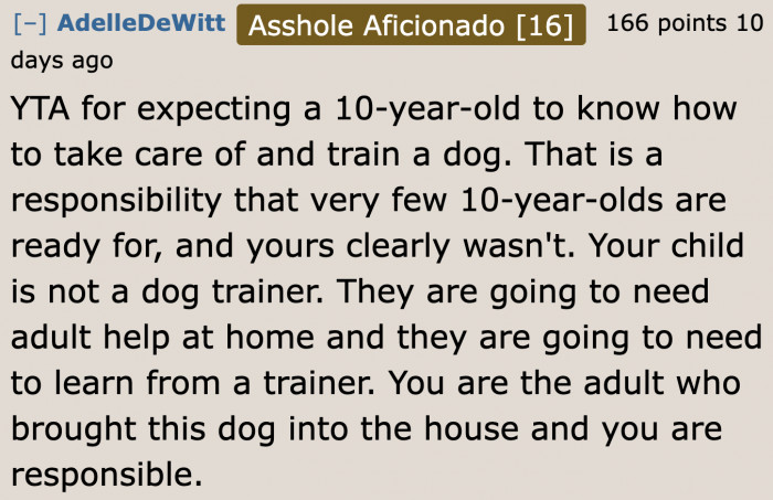 He is so wrong in thinking that his son can handle everything at 10 years old, which is the son's age when he received the dog.