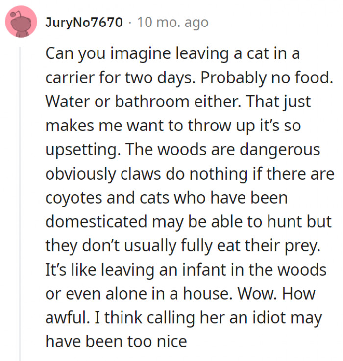 3. Leaving the cat in the carrier for two days was already the first straw but she just decided to make the situation worse by letting the cat free in a dangerous place for it