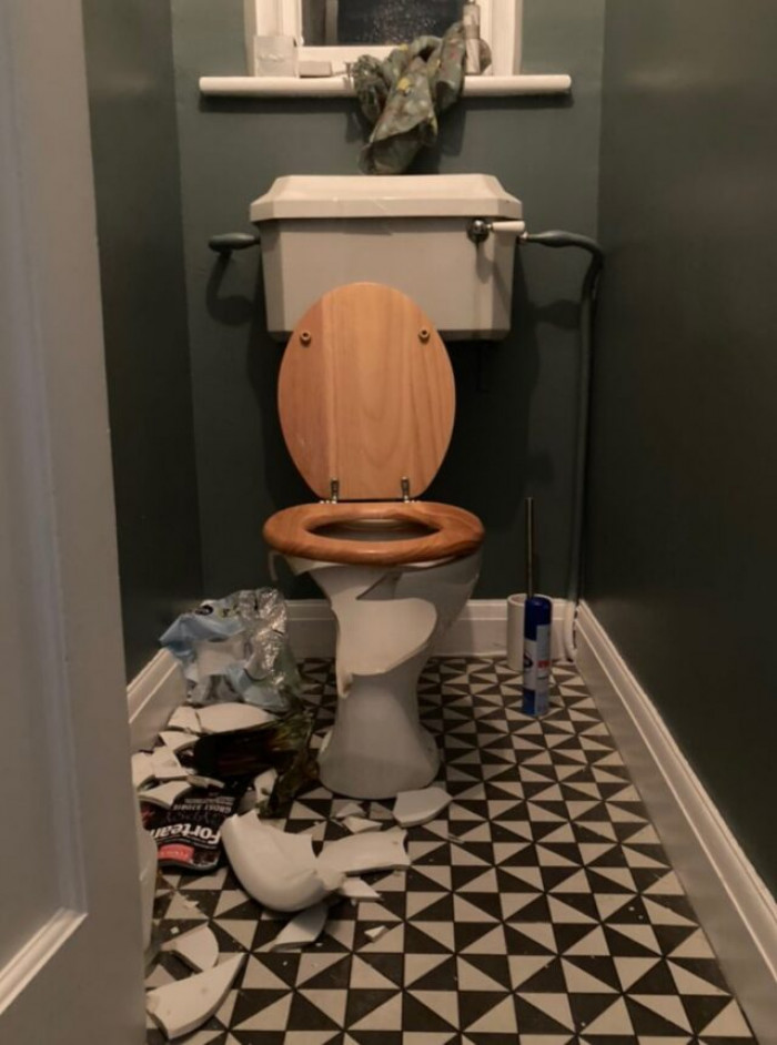 9. Courtesy of the cat