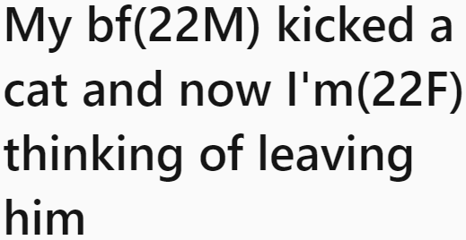 For the OP, witnessing her boyfriend's harsh behavior toward the cat was the last straw.