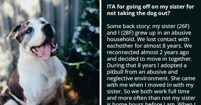 Redditor Lashes Out And Threatened Her "Lazy" Sister For Not Taking Care Of Her Dog While She Was Away