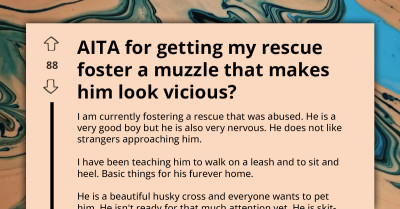 Protective Foster Parent Criticized For Using Scary-Looking Muzzle On Nervous Dog, They Only Wanted To Stop Unwanted Petting