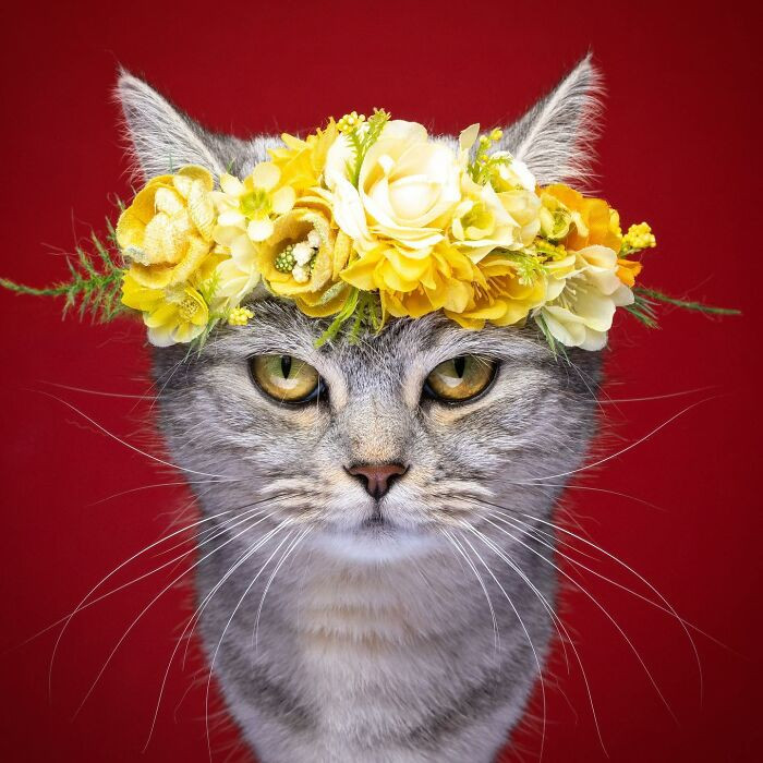 2. Surly flower crown